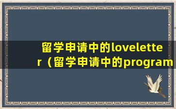 留学申请中的loveletter（留学申请中的program和main field）